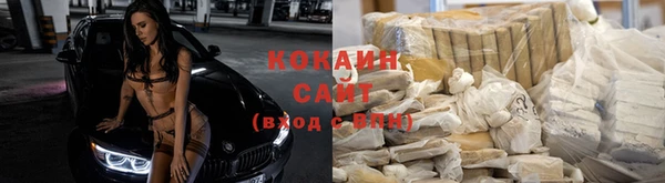 мяу мяу кристалл Ельня