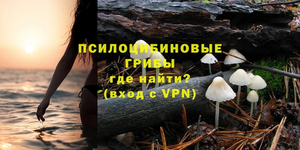 гашик Заволжье