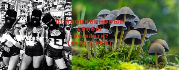 мескалин Елизово