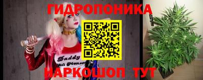 крисы Ливны