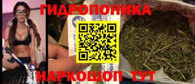 тгк Лесосибирск