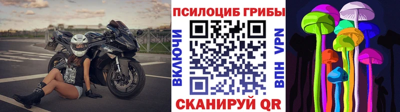 Галлюциногенные грибы Psilocybe  Каменск-Шахтинский 